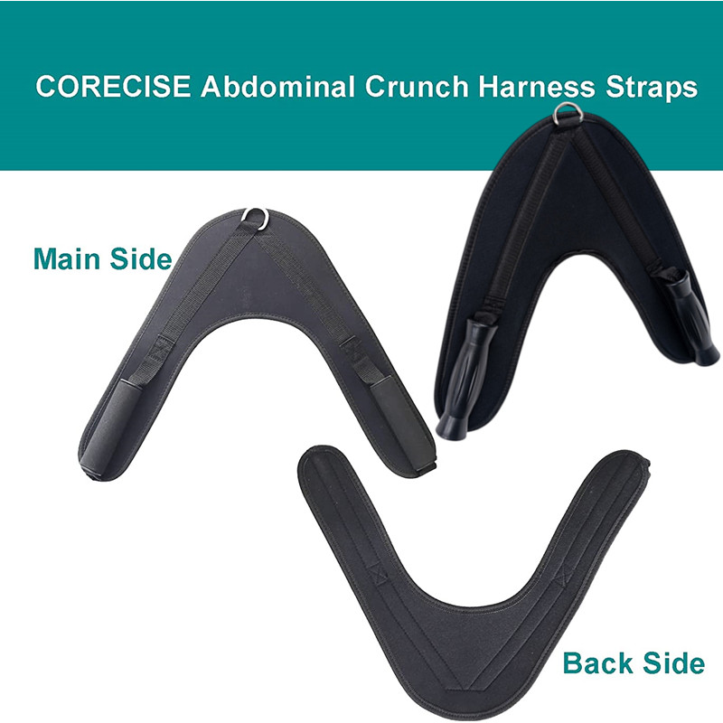 V-Shape ท้อง Crunch สายรัดเข็ม - Home Gym Training Program บทวิจารณ์และราคา